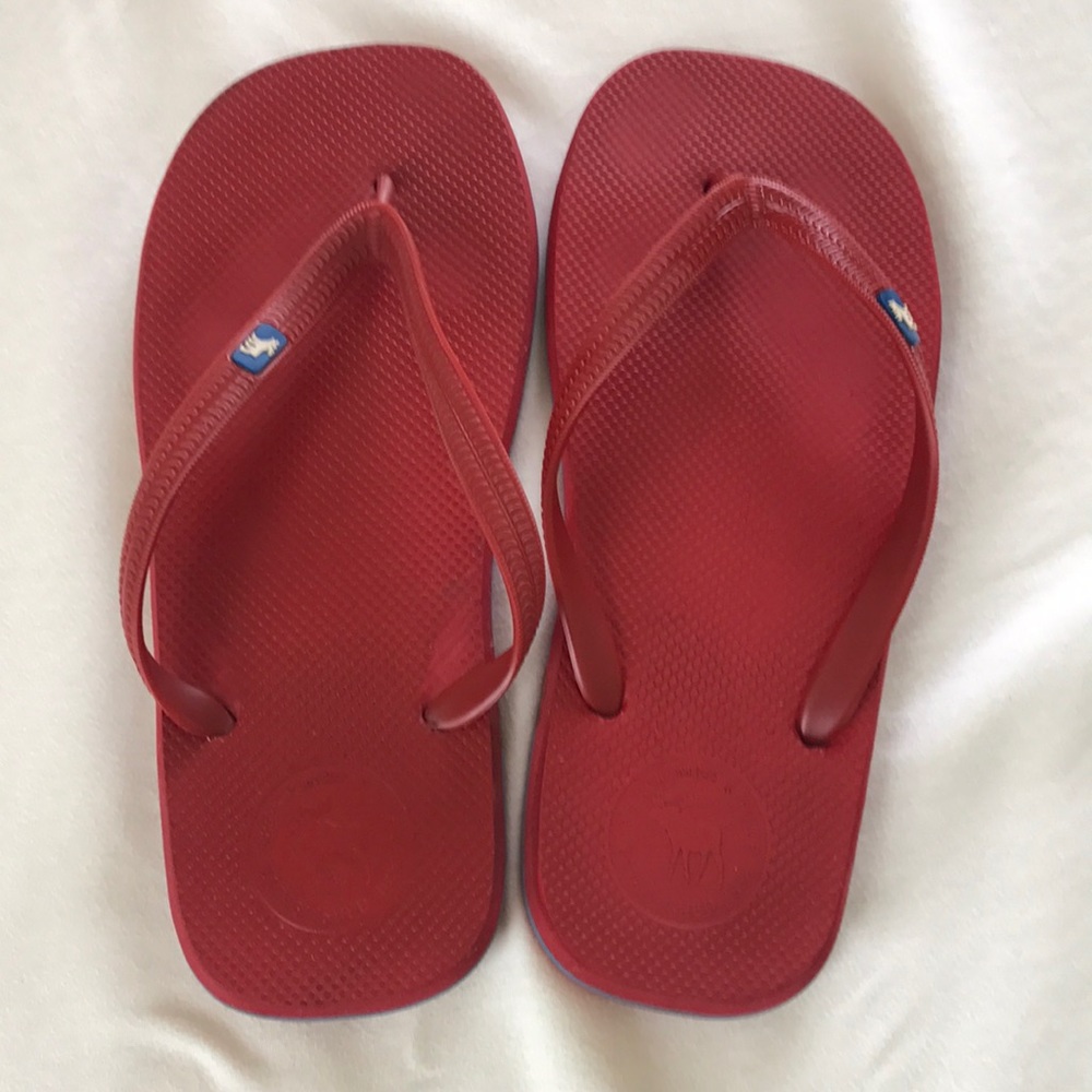 Abercrombie and Fitch Flip Flops